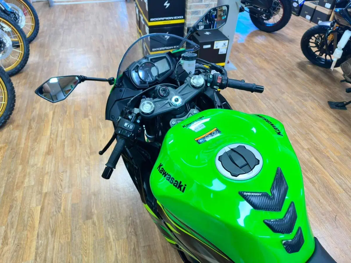 Kawasaki Ninja 636 ZX-6R Performance (2019 - 20) (6)