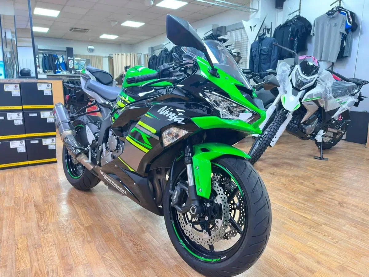 Kawasaki Ninja 636 ZX-6R Performance (2019 - 20) (5)