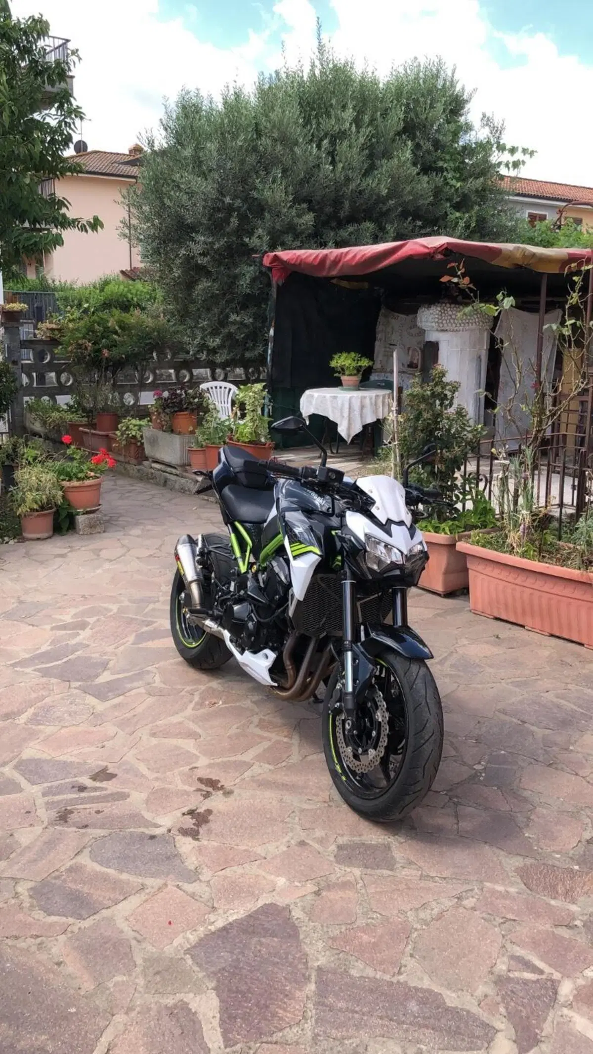 Kawasaki Z 900 (2020) (3)