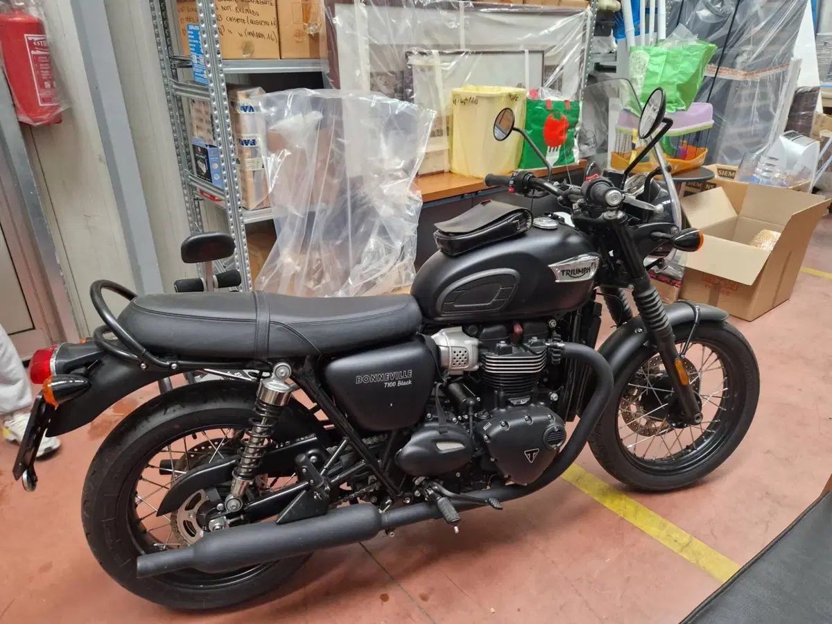 Triumph Bonneville T100 Black (2017 - 20) (2)