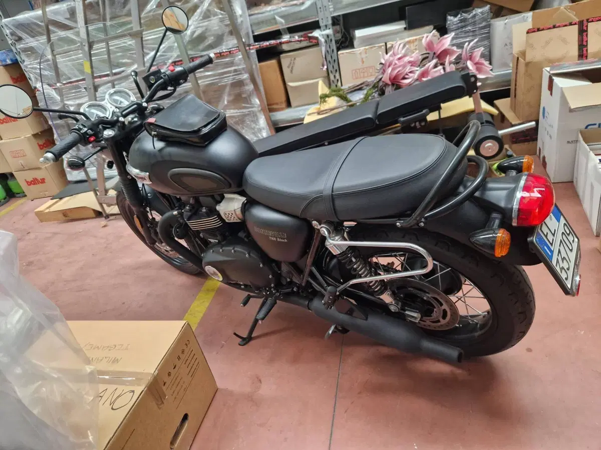 Triumph Bonneville T100 Black (2017 - 20) (4)