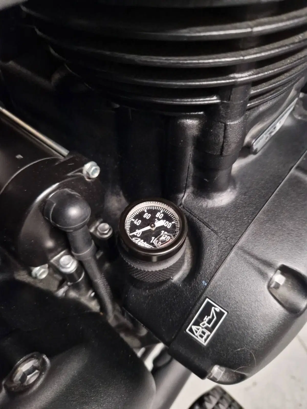 Triumph Bonneville T100 Black (2017 - 20) (6)