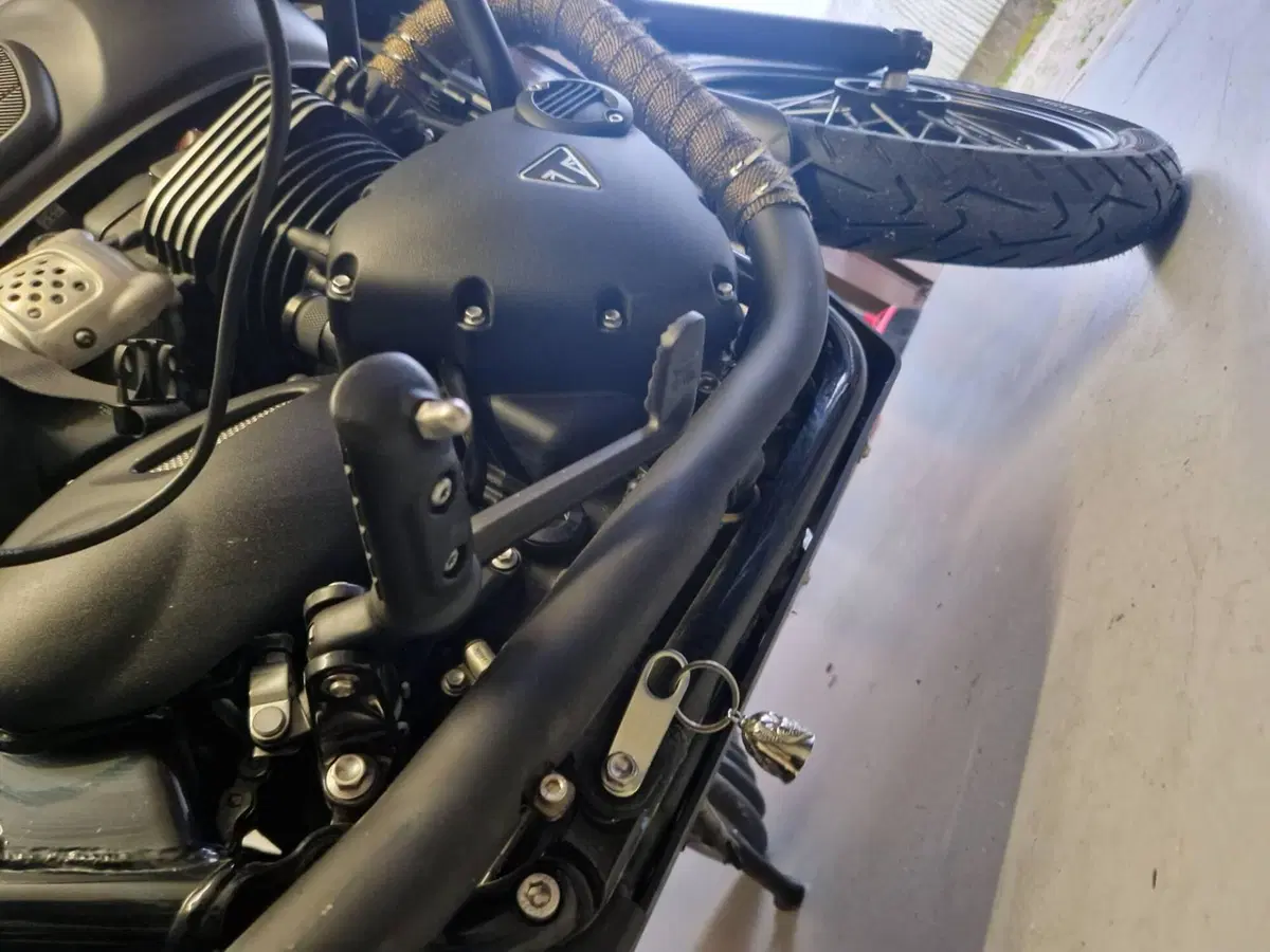 Triumph Bonneville T100 Black (2017 - 20) (7)