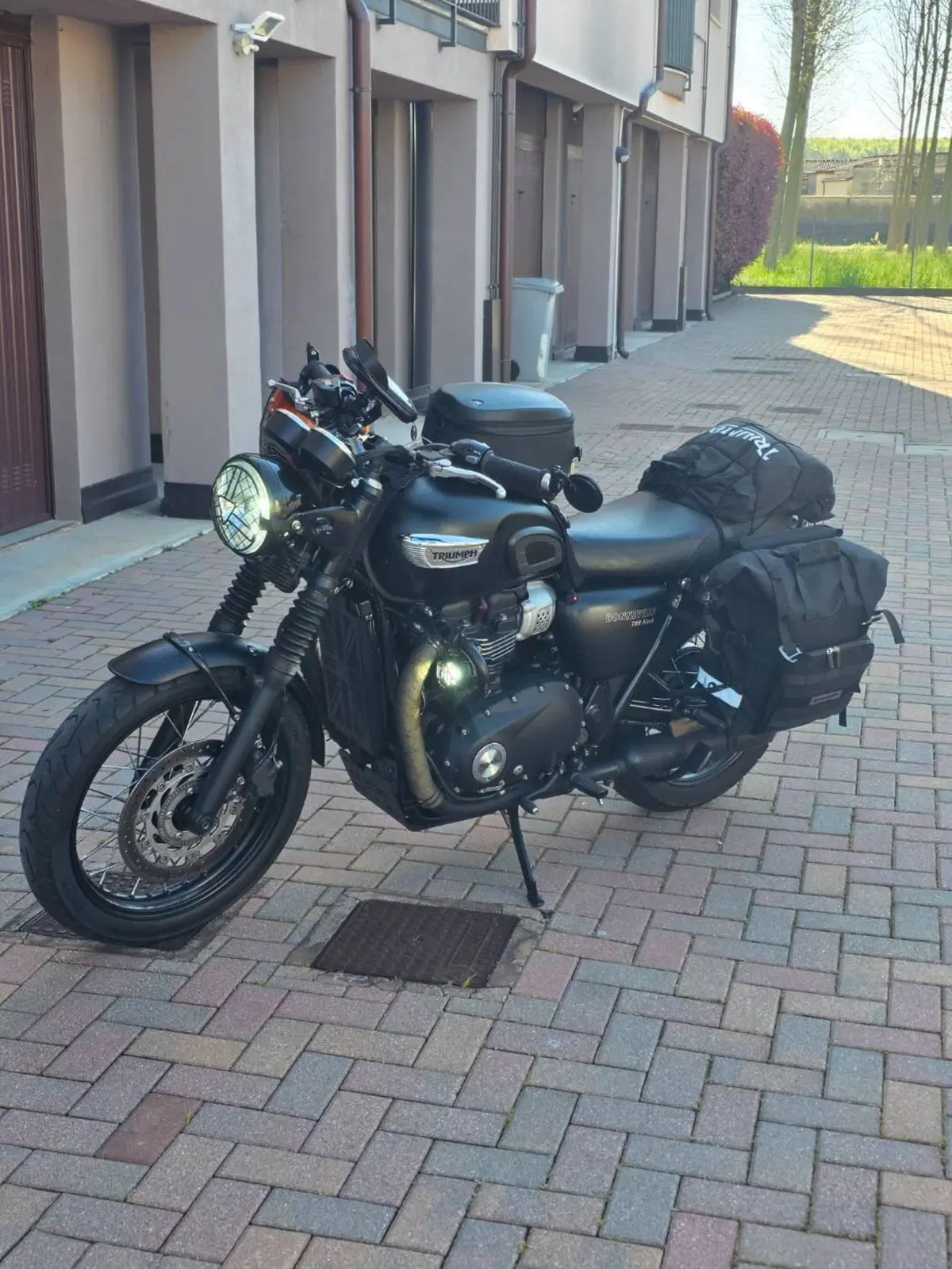Triumph Bonneville T100 Black (2017 - 20) (12)