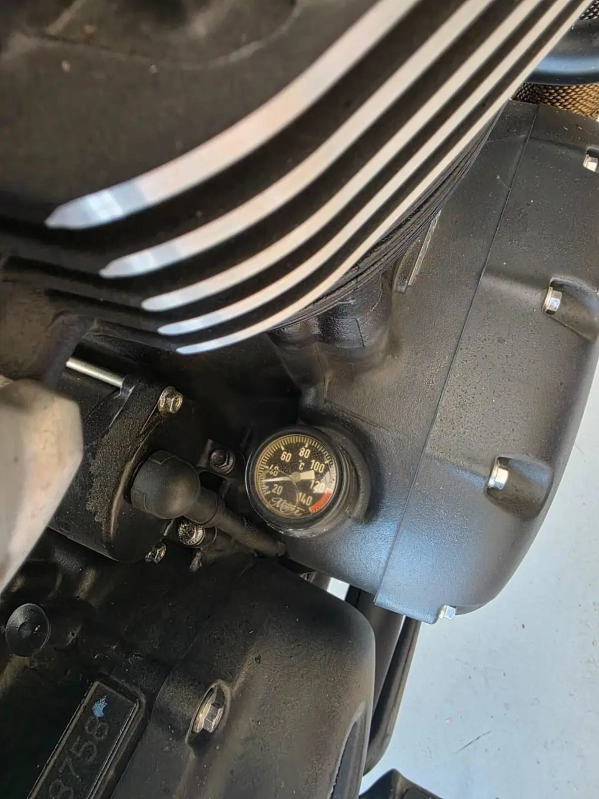 Triumph Bonneville T100 Black (2017 - 20) (15)