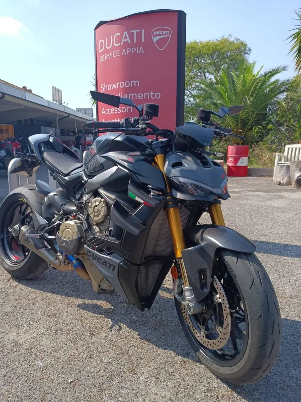 Ducati Streetfighter V4 S (2023 - 24) (4)