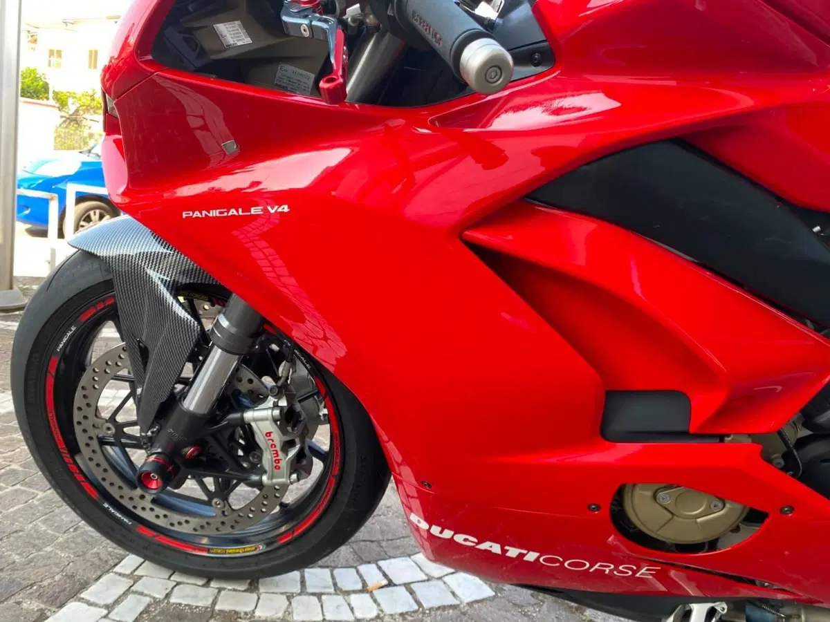 Ducati Panigale V4 1100 (2018 - 19) (6)
