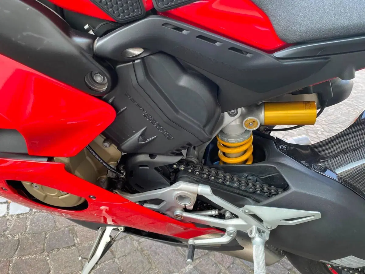 Ducati Panigale V4 1100 (2018 - 19) (7)