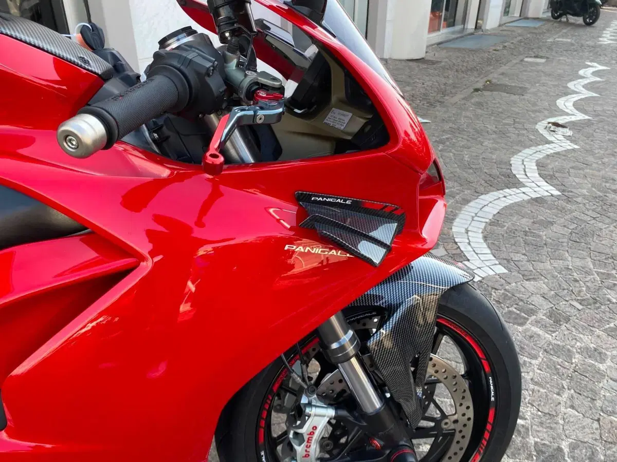 Ducati Panigale V4 1100 (2018 - 19) (10)