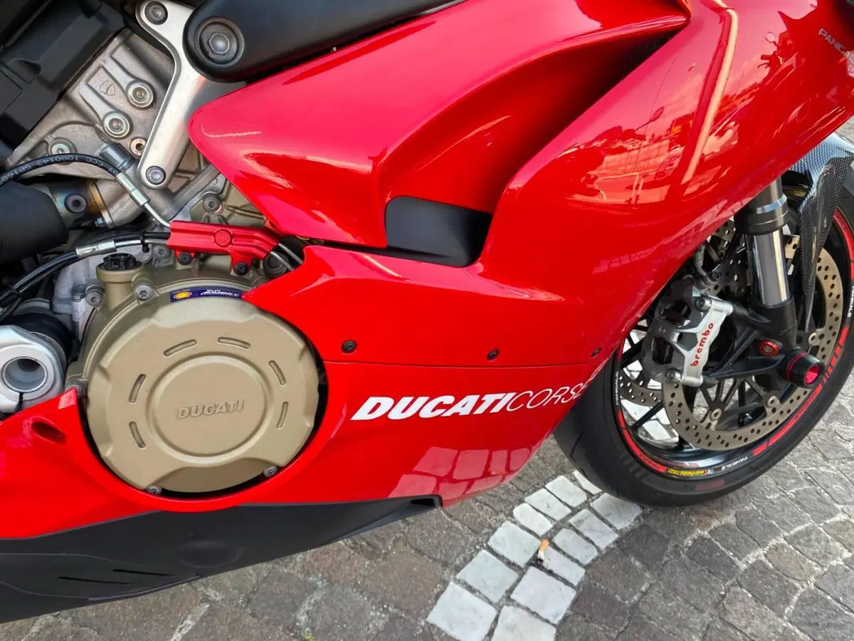 Ducati Panigale V4 1100 (2018 - 19) (11)