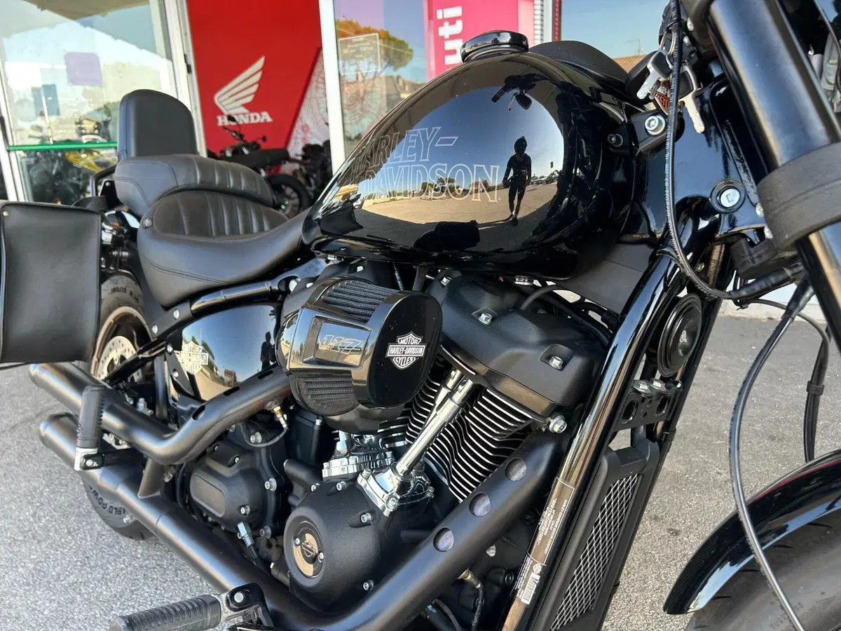 Harley-Davidson Low Rider S (2022 - 24) (4)