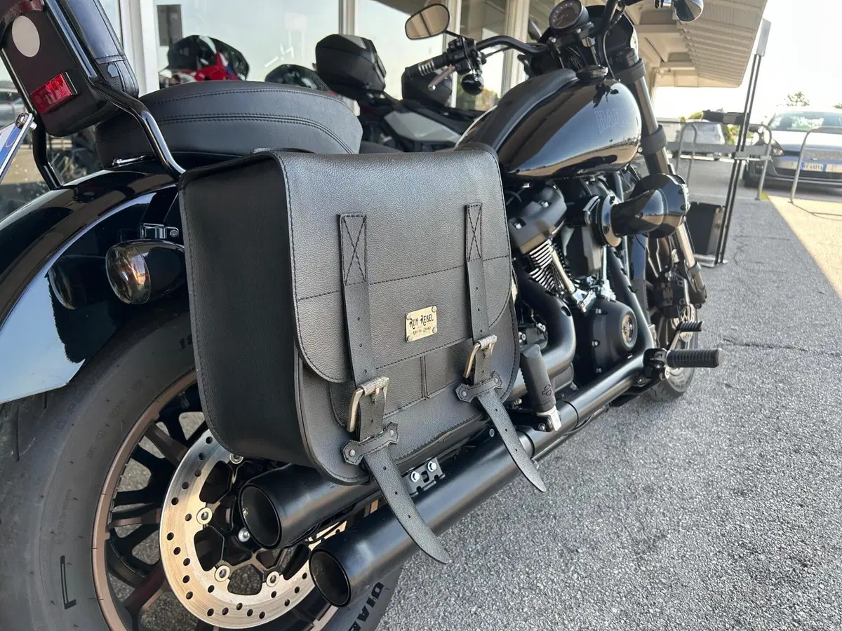 Harley-Davidson Low Rider S (2022 - 24) (6)