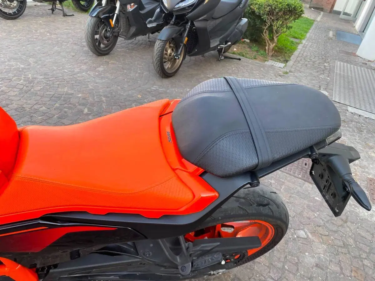 KTM 390 Duke (2024 - 25) (5)