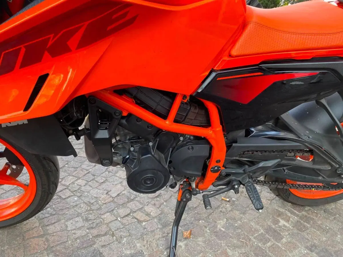 KTM 390 Duke (2024 - 25) (7)