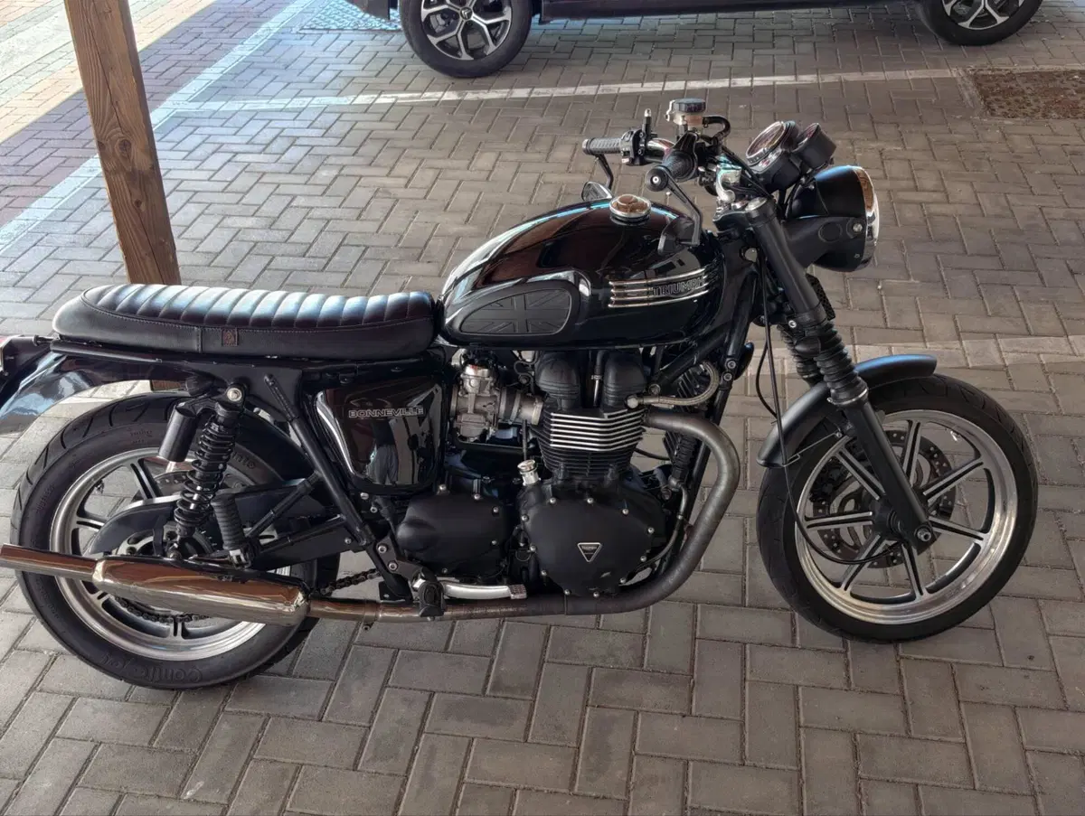 Triumph Bonneville SE (2009 - 13) (2)