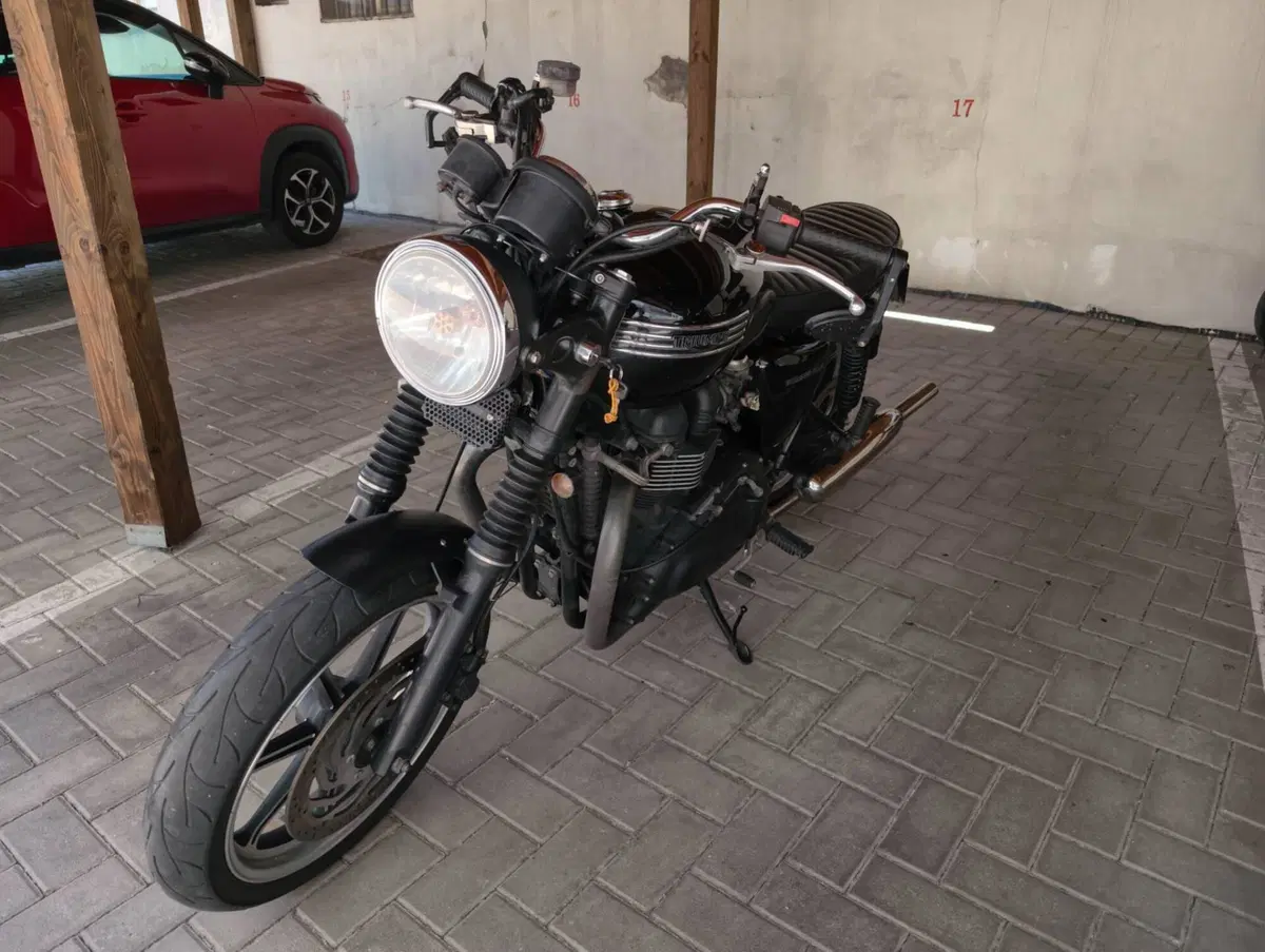 Triumph Bonneville SE (2009 - 13) (5)