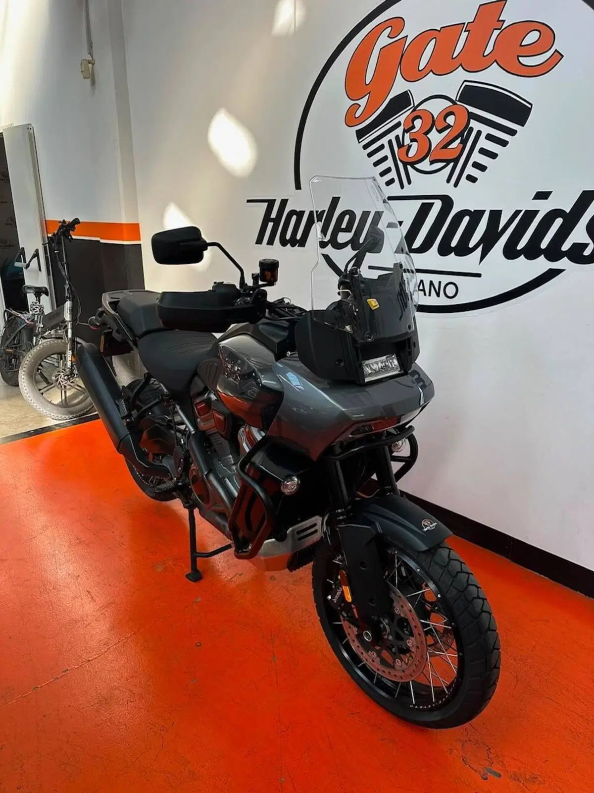 Harley-Davidson Pan America 1250 Special (2020 - 25) (3)