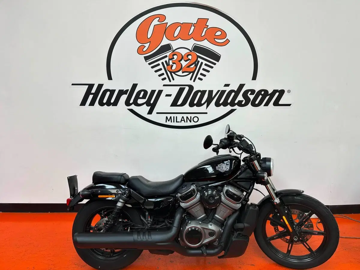 Harley-Davidson Nightster (2023 - 26)