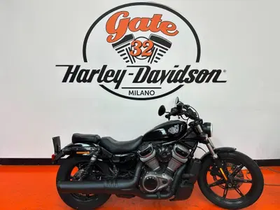 Harley-Davidson Nightster (2023 - 26) usata