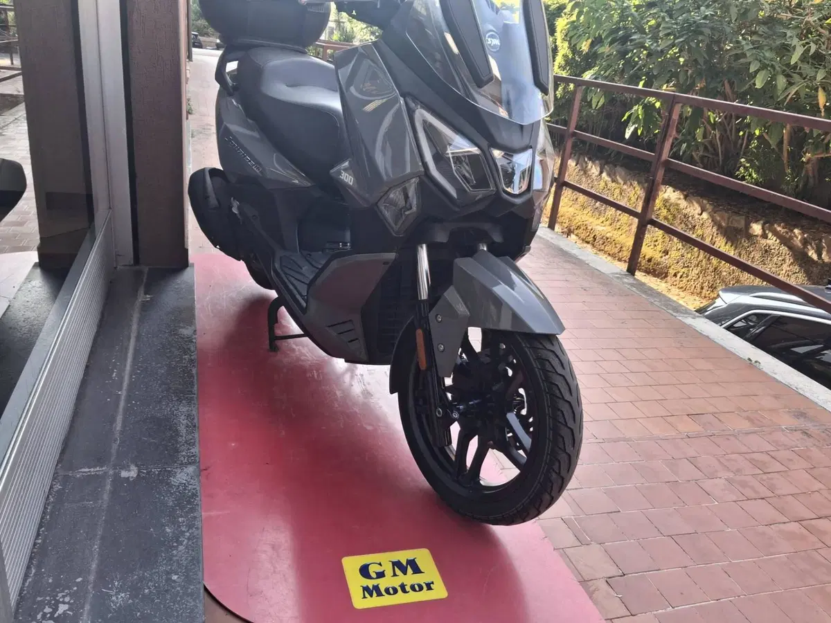 Sym Joyride 300 (2022 - 24) (2)