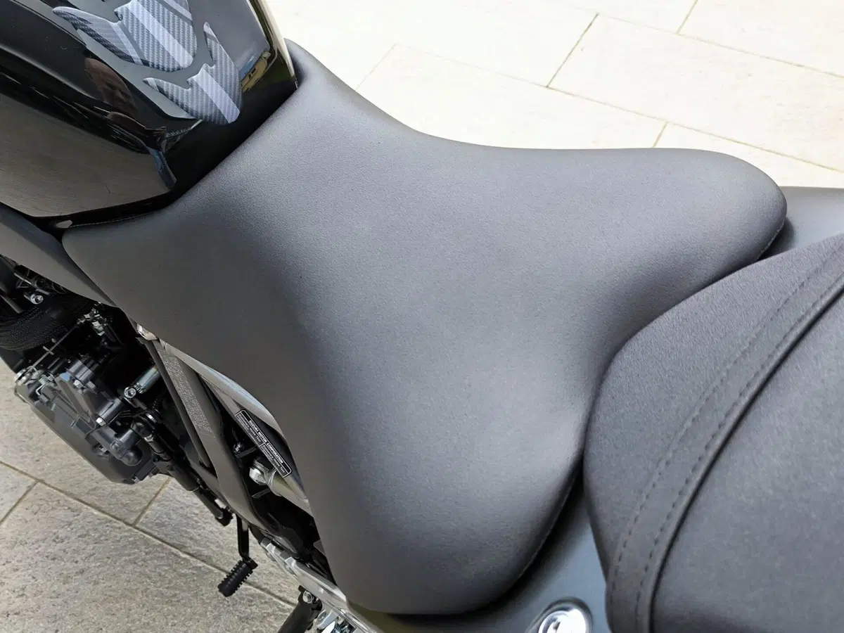 Suzuki GSX-8R (2024 - 26) (10)