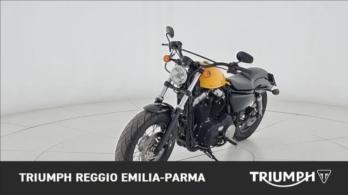 Harley-Davidson 1200 Forty-Eight (2010 - 15) (4)