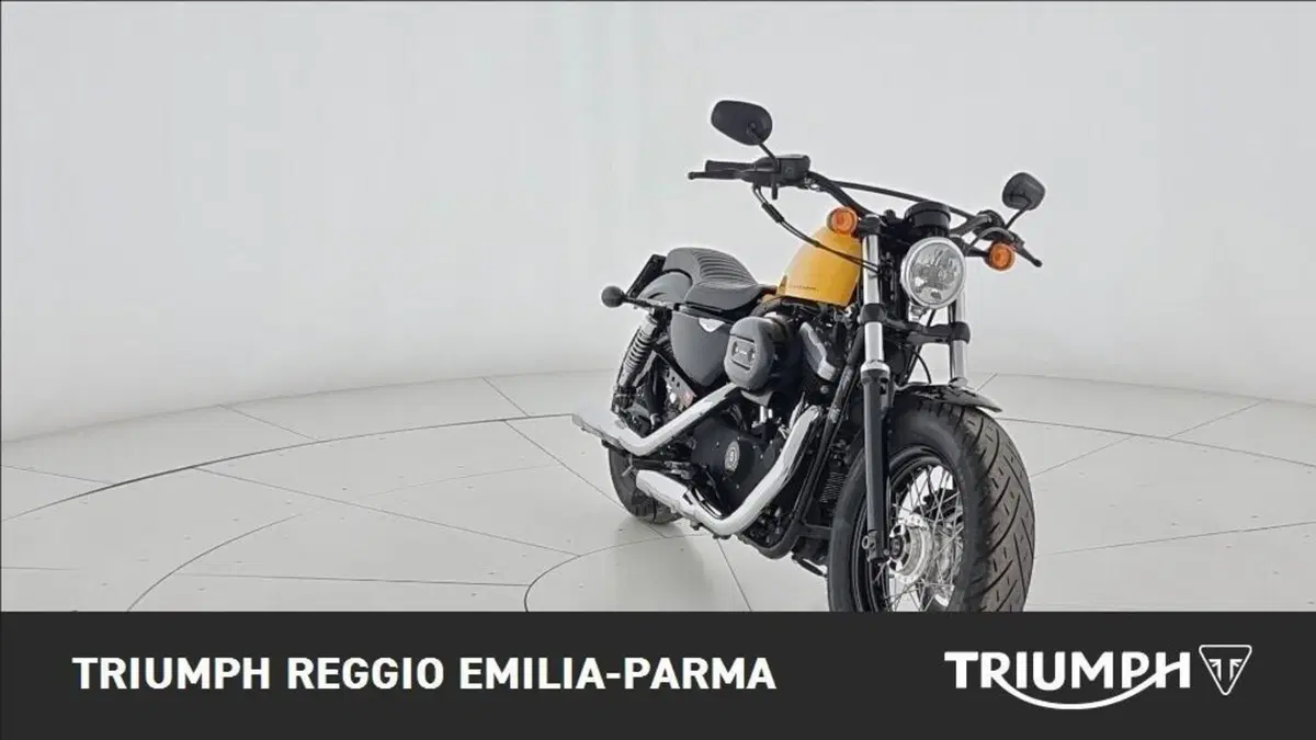 Harley-Davidson 1200 Forty-Eight (2010 - 15) (2)
