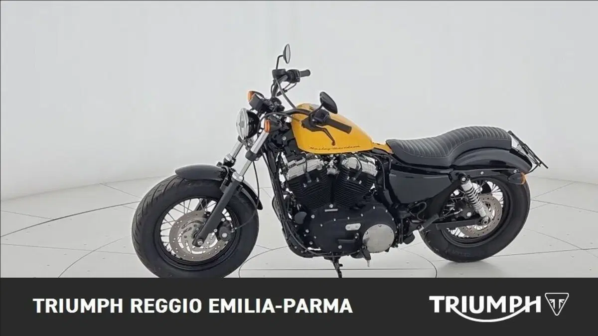 Harley-Davidson 1200 Forty-Eight (2010 - 15) (5)
