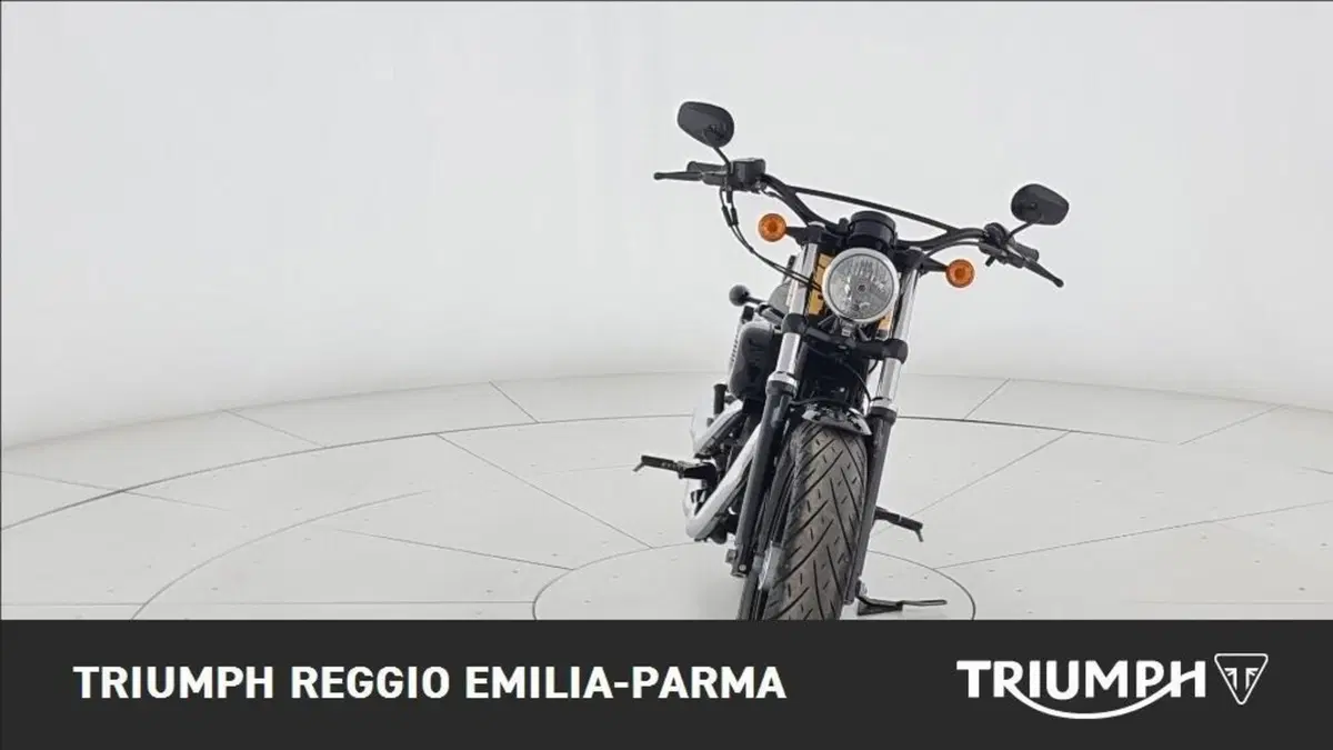 Harley-Davidson 1200 Forty-Eight (2010 - 15) (3)