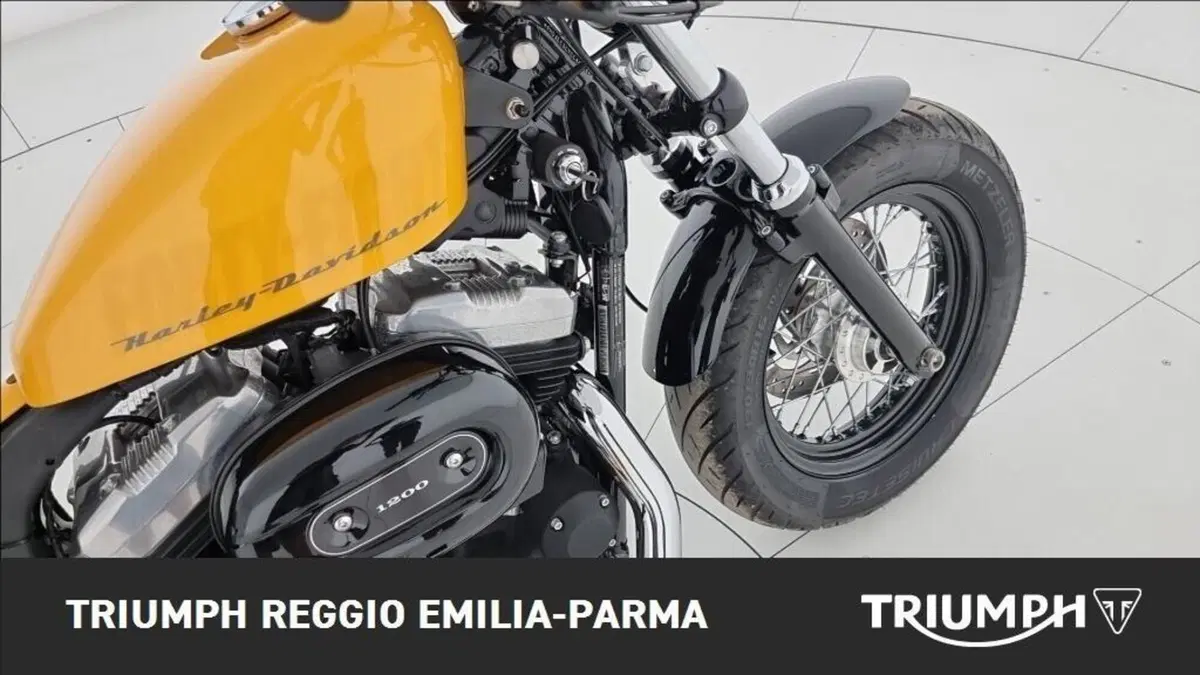 Harley-Davidson 1200 Forty-Eight (2010 - 15) (16)