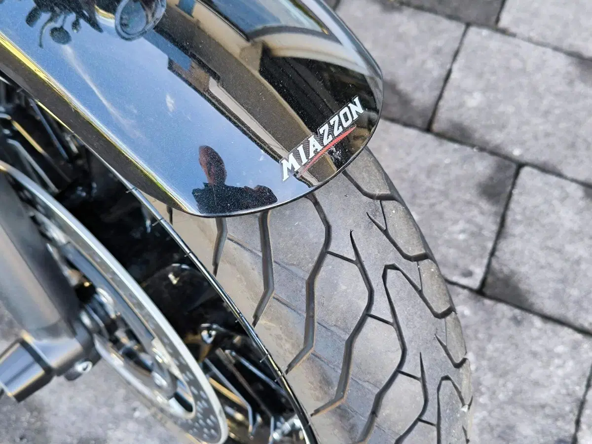 Kawasaki Z 650 RS (2022 - 24) (6)