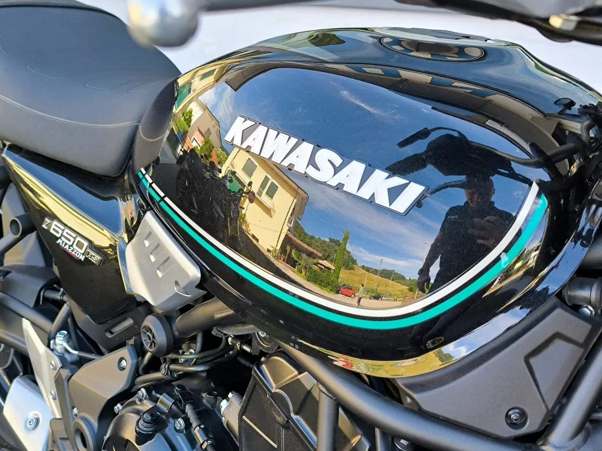 Kawasaki Z 650 RS (2022 - 24) (7)