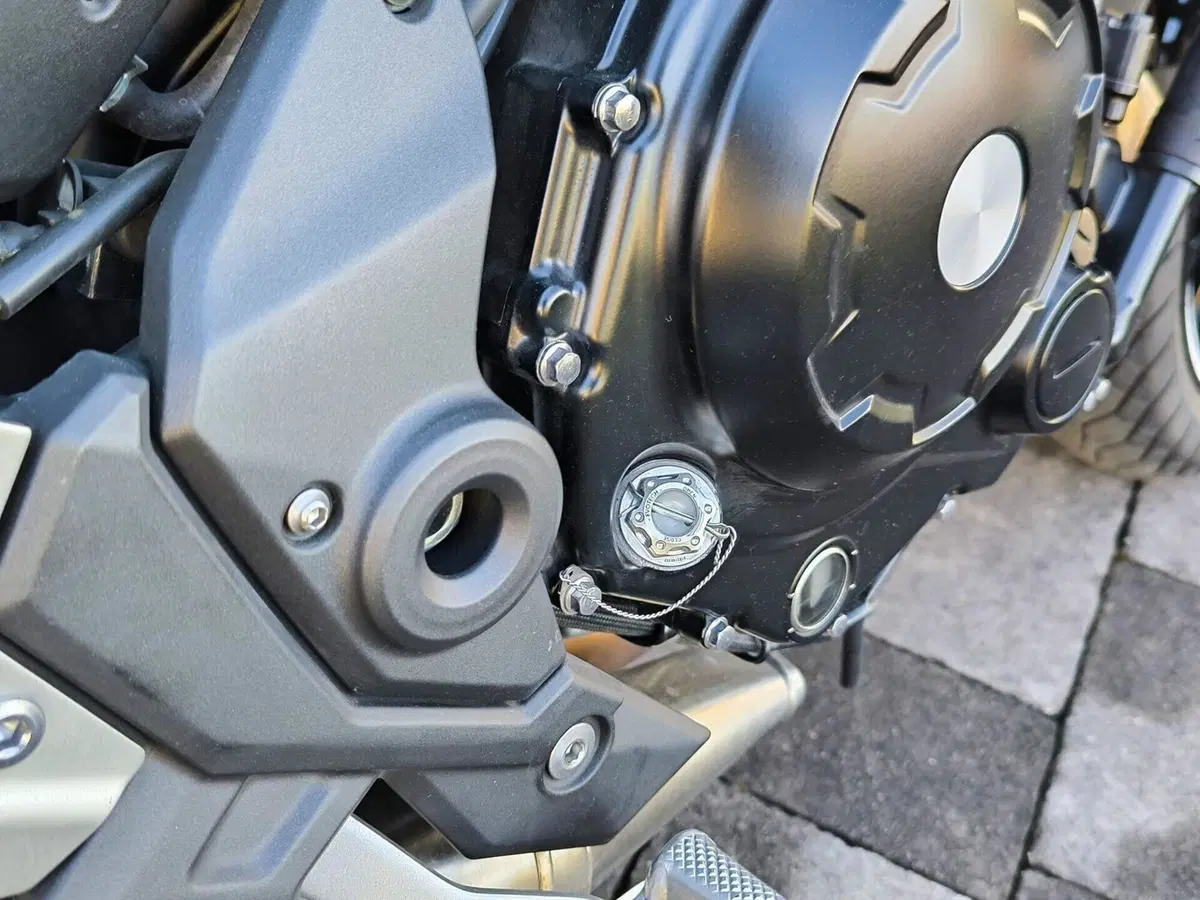 Kawasaki Z 650 RS (2022 - 24) (13)