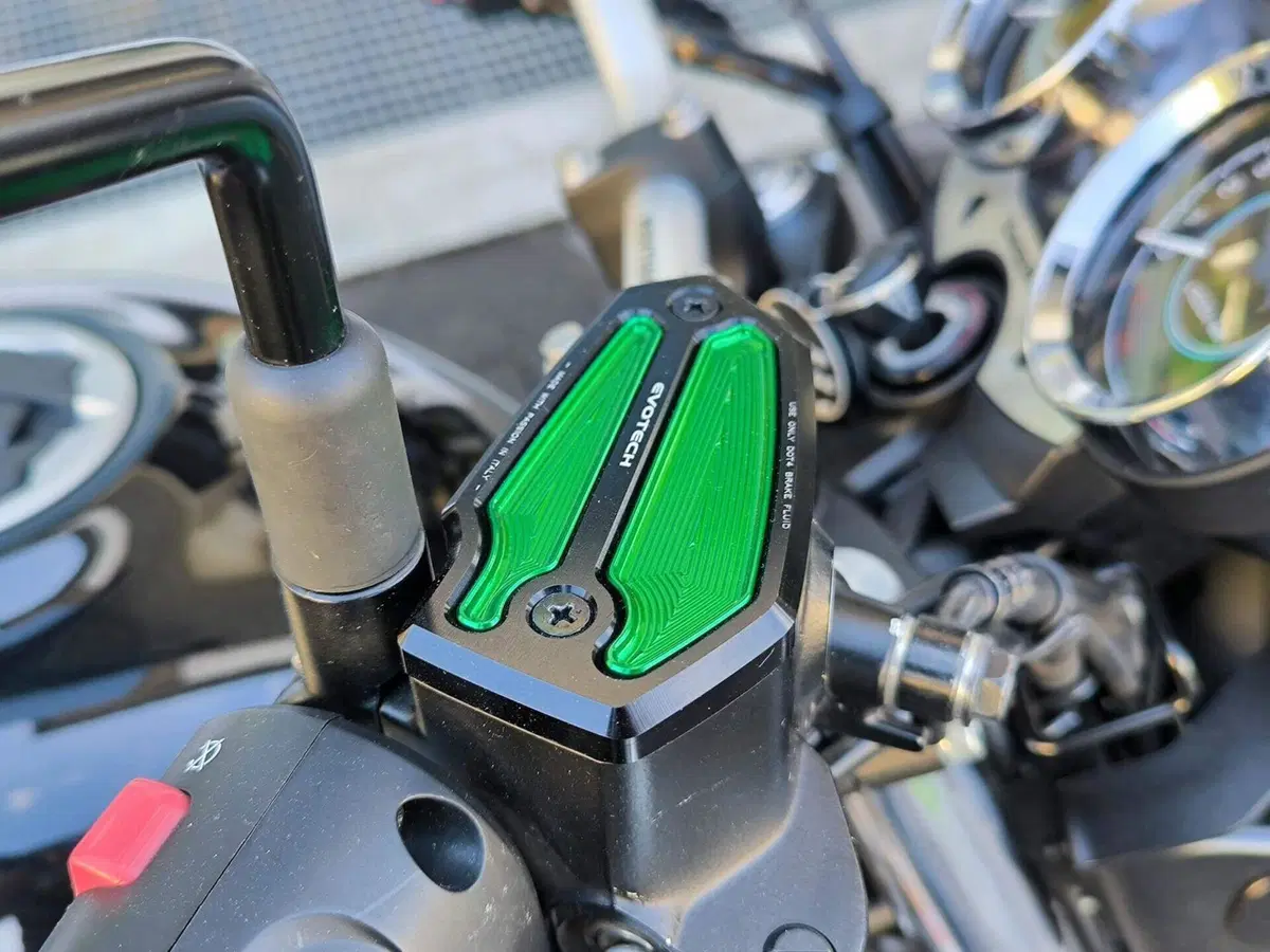 Kawasaki Z 650 RS (2022 - 24) (15)