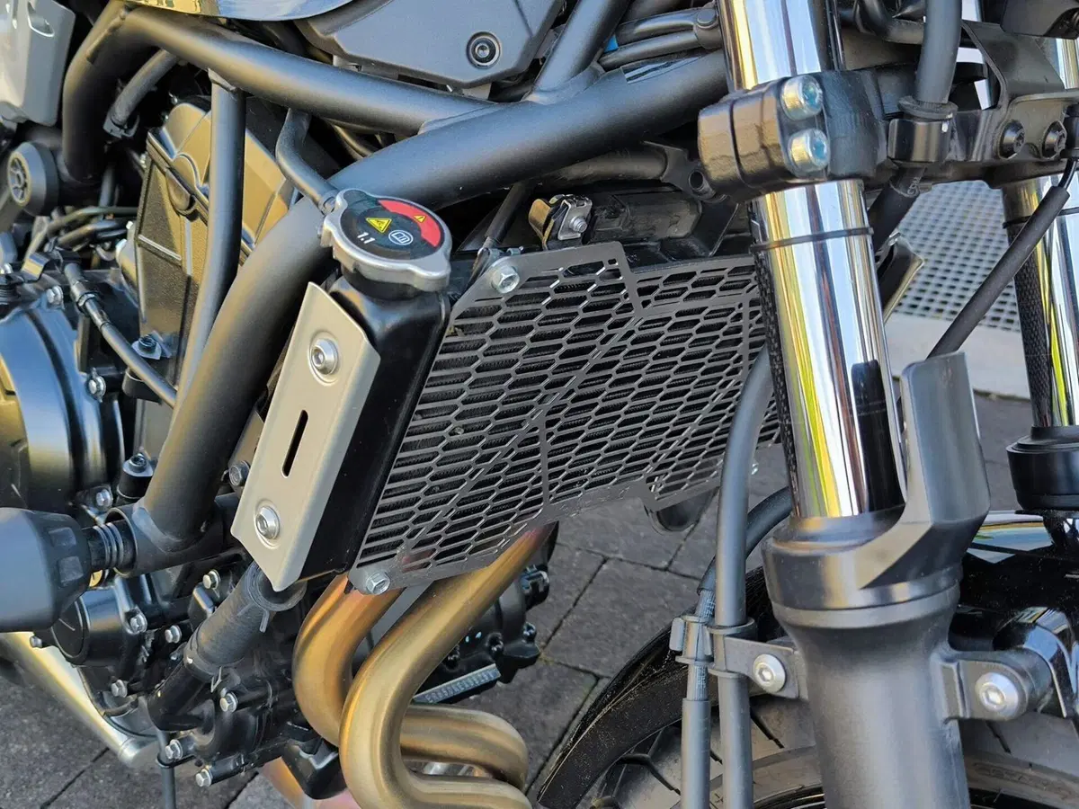 Kawasaki Z 650 RS (2022 - 24) (18)