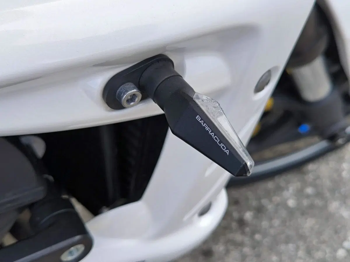 Triumph Street Triple R (2009 - 12) (4)