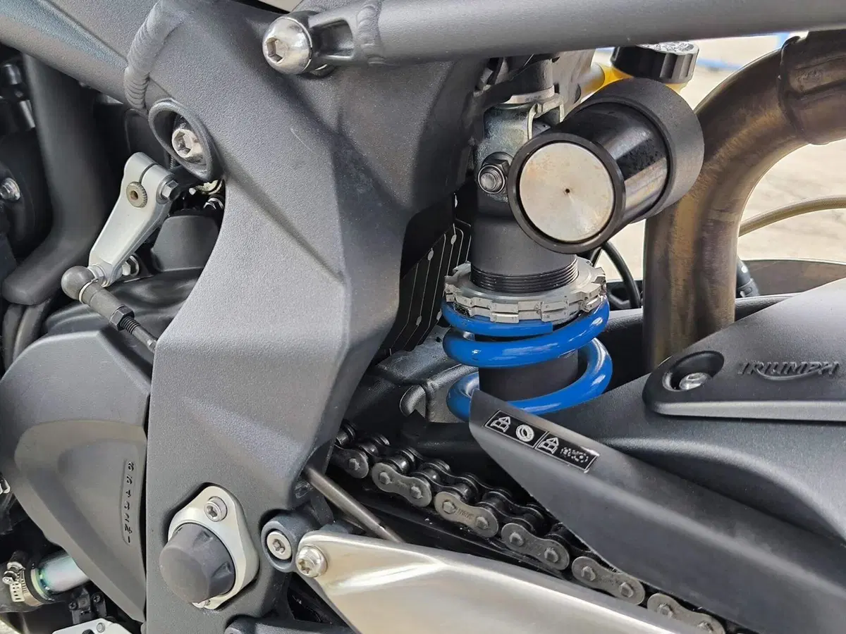 Triumph Street Triple R (2009 - 12) (6)