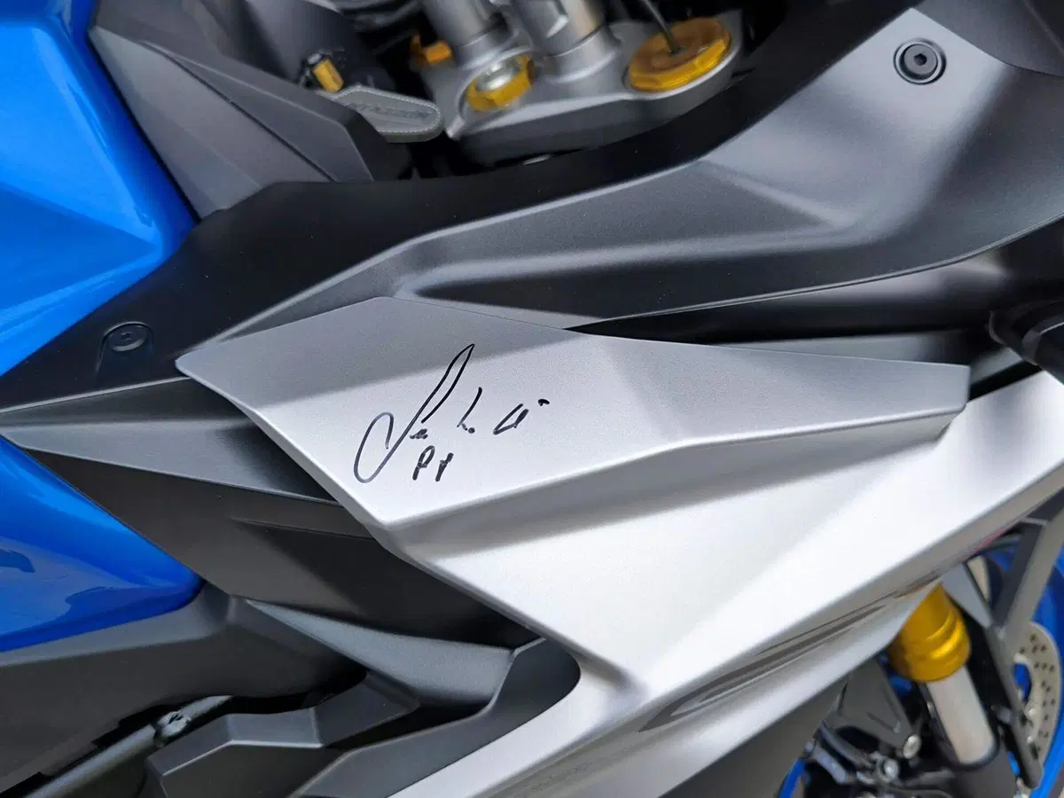 Suzuki GSX-S1000GX (2024 - 26) (3)