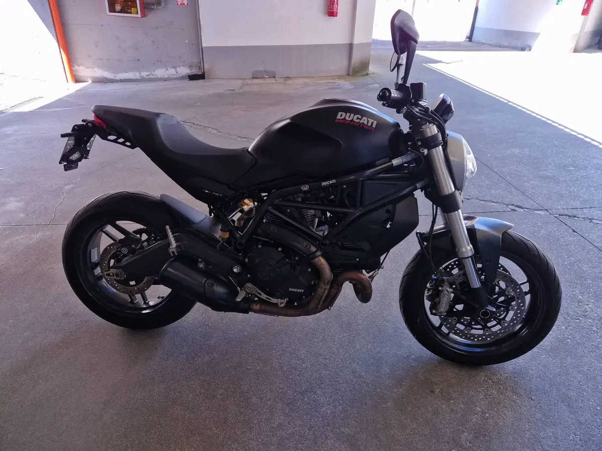 Ducati Monster 797 (2017 - 18)