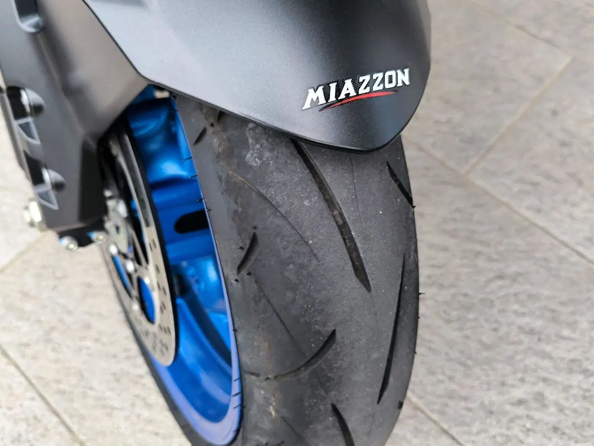 Suzuki GSX-S1000GX (2024 - 26) (7)