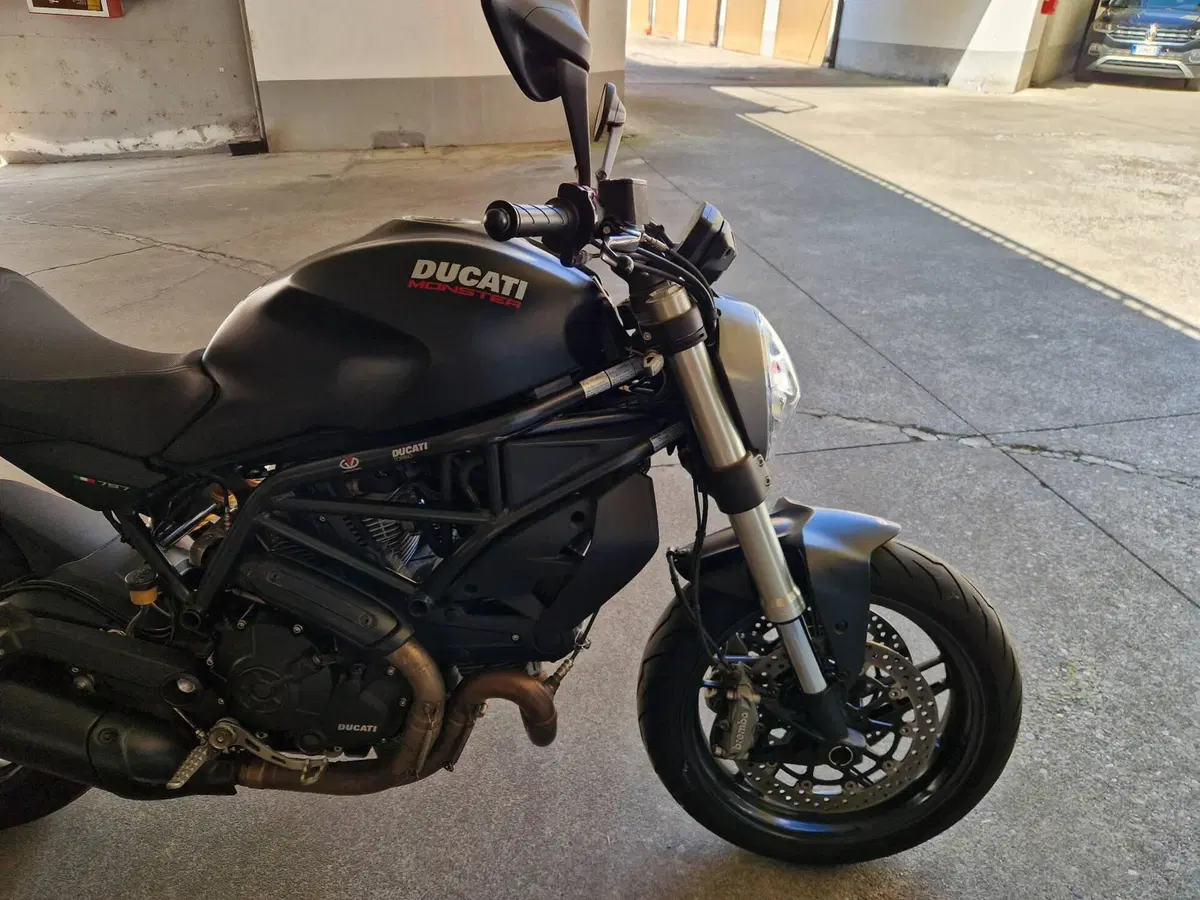 Ducati Monster 797 (2017 - 18) (2)