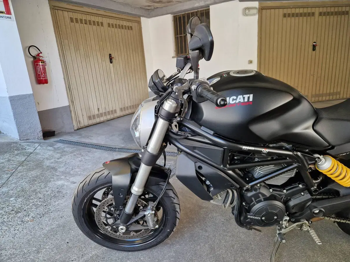 Ducati Monster 797 (2017 - 18) (5)