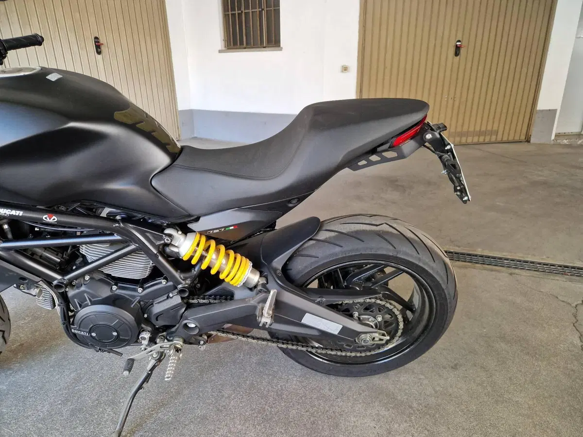 Ducati Monster 797 (2017 - 18) (6)