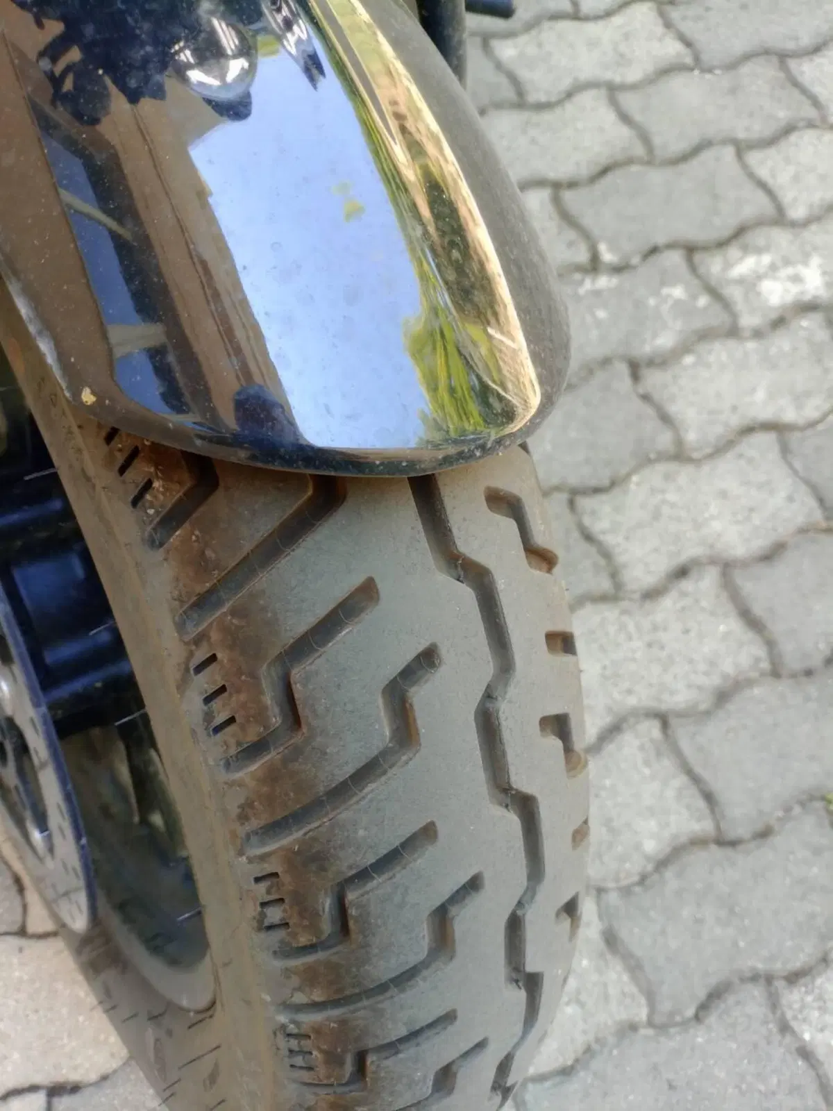 CFMOTO 450CL-C (2024 - 26) (6)