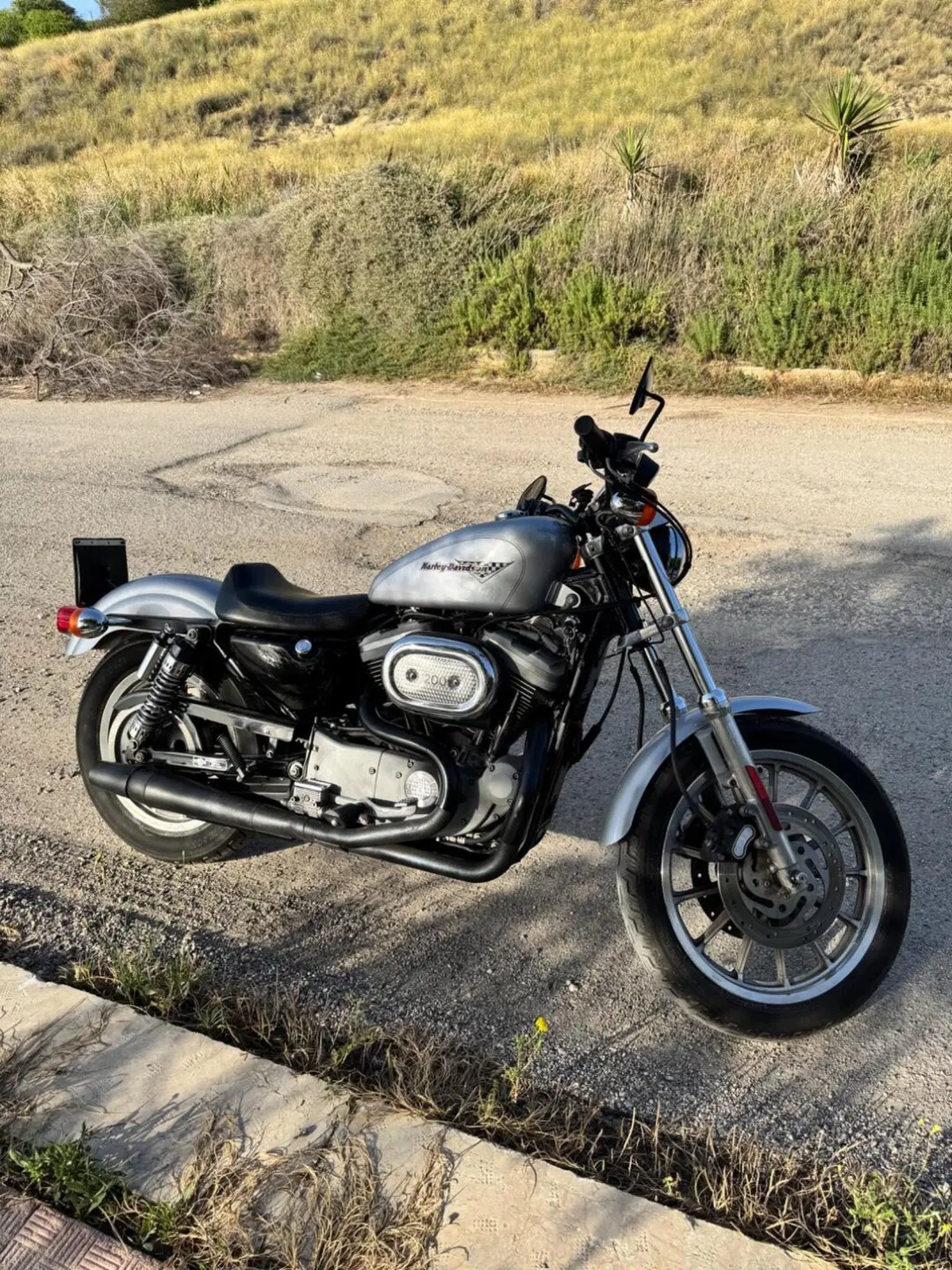 Harley-Davidson 1200 Sport (2001 - 03) - XL 1200S (3)