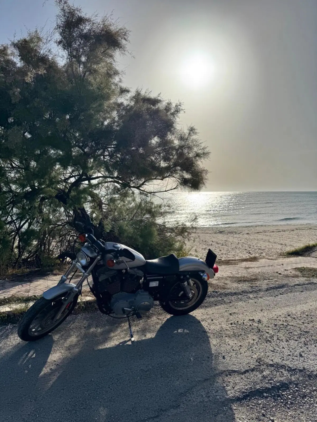 Harley-Davidson 1200 Sport (2001 - 03) - XL 1200S (4)