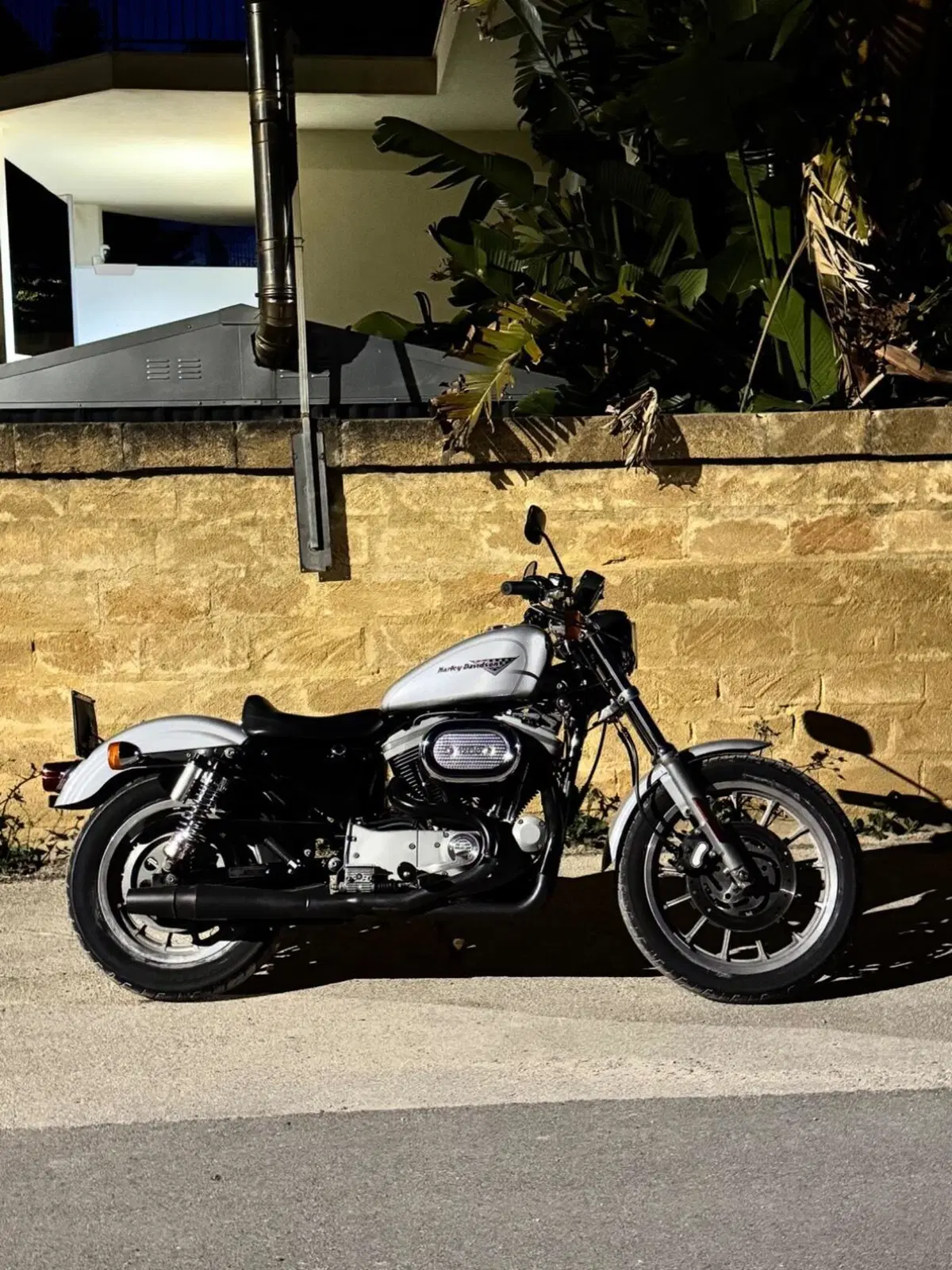 Harley-Davidson 1200 Sport (2001 - 03) - XL 1200S (5)