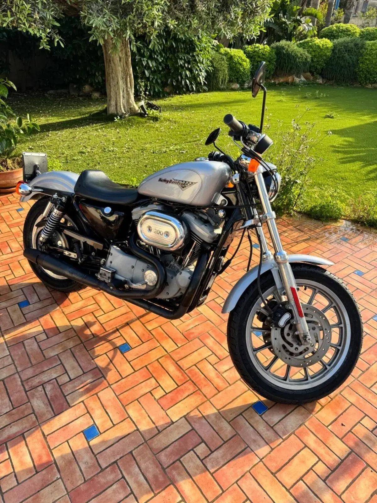 Harley-Davidson 1200 Sport (2001 - 03) - XL 1200S (6)