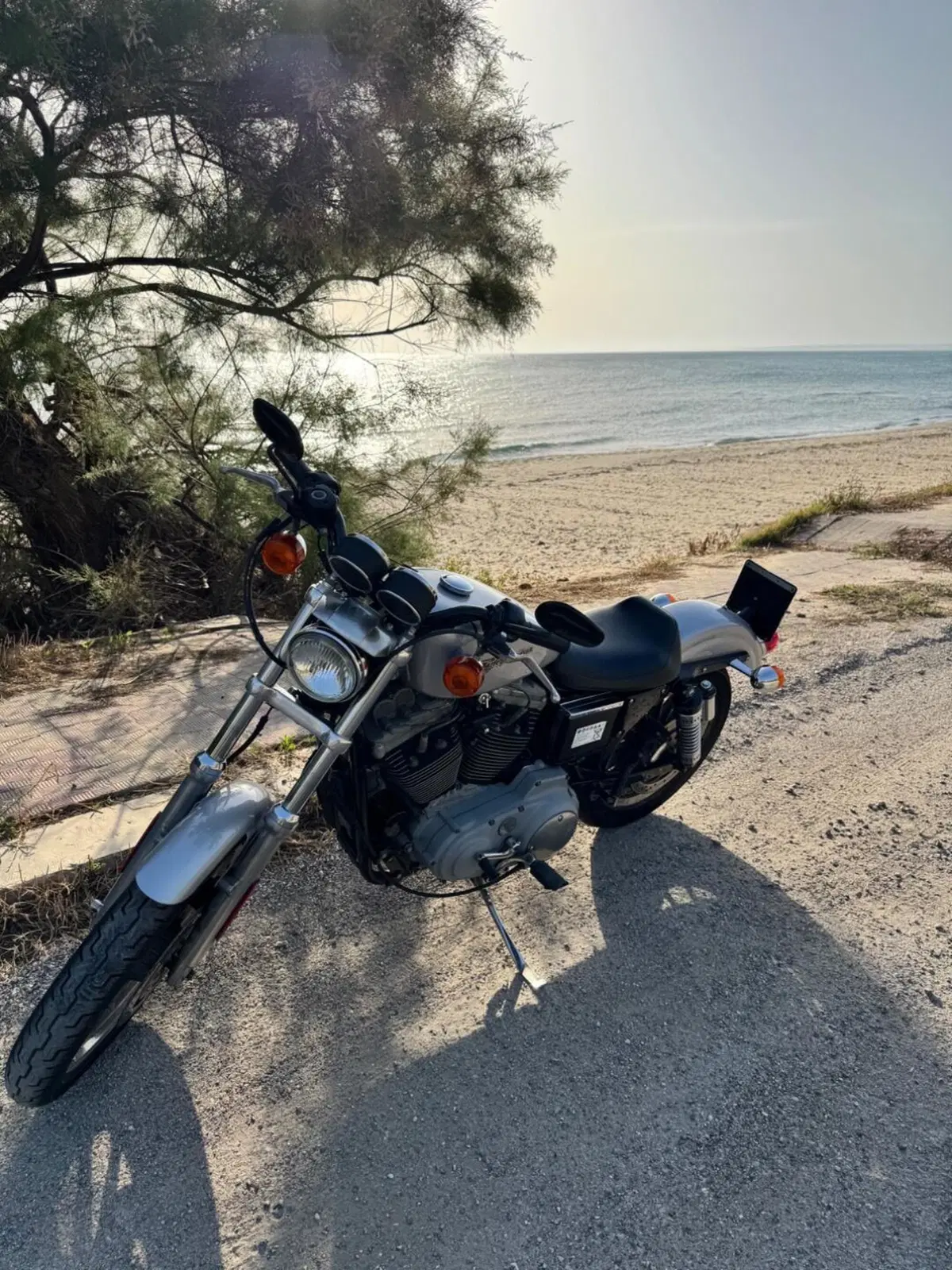 Harley-Davidson 1200 Sport (2001 - 03) - XL 1200S (11)