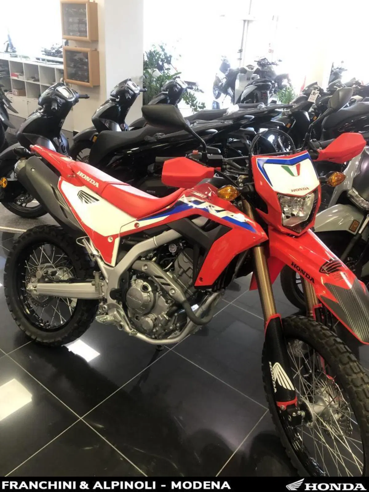 Honda CRF 300L (2021 - 24) (8)